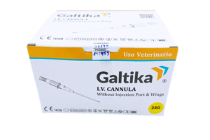 Catéter intravenoso plus